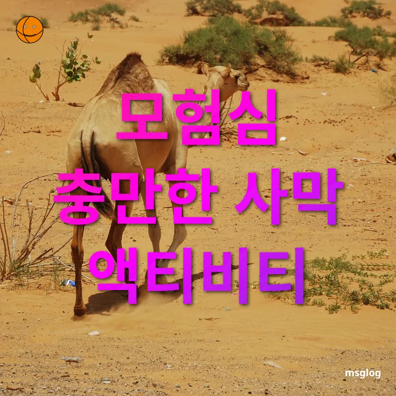 두바이 사막투어 - 모험심 충만한 사막 액티비티 두바이 사막투어 모험심 충만한 사막 액티비티 관련 이미지