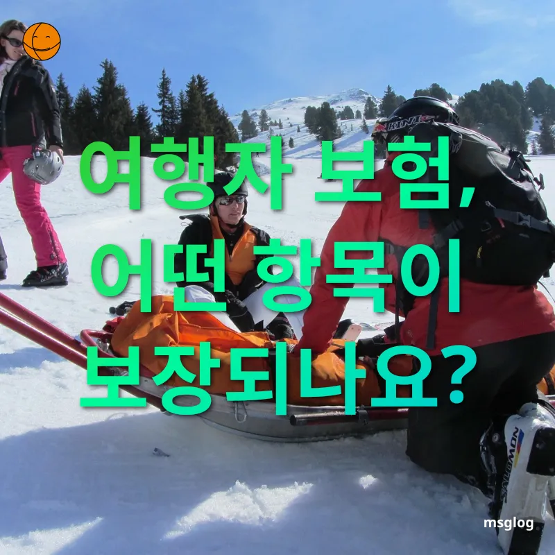 여행자보험 - 여행자 보험, 어떤 항목이 보장되나요? 여행자보험 여행자 보험, 어떤 항목이 보장되나요? 관련 이미지