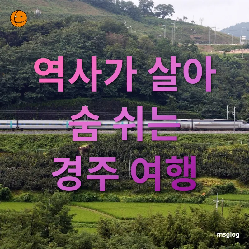 국내 KTX 여름 여행 - 역사가 살아 숨 쉬는 경주 여행 국내 KTX 여름 여행 역사가 살아 숨 쉬는 경주 여행 관련 이미지