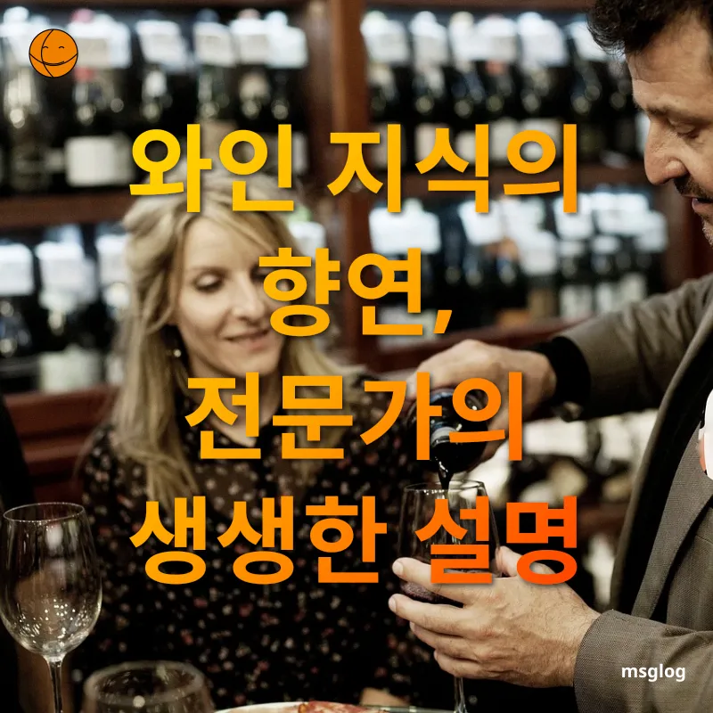 와인 투어 - 와인 지식의 향연, 전문가의 생생한 설명 와인 투어 와인 지식의 향연, 전문가의 생생한 설명 관련 이미지