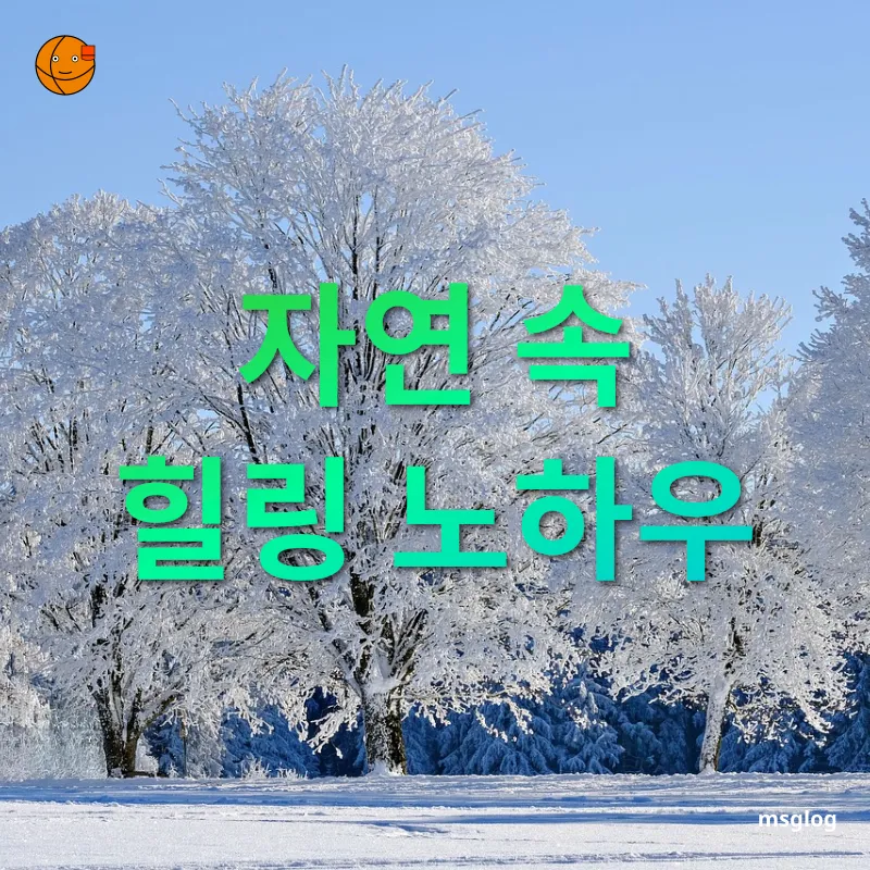 자연 속 피로 해소 자연 속 힐링 노하우 관련 이미지