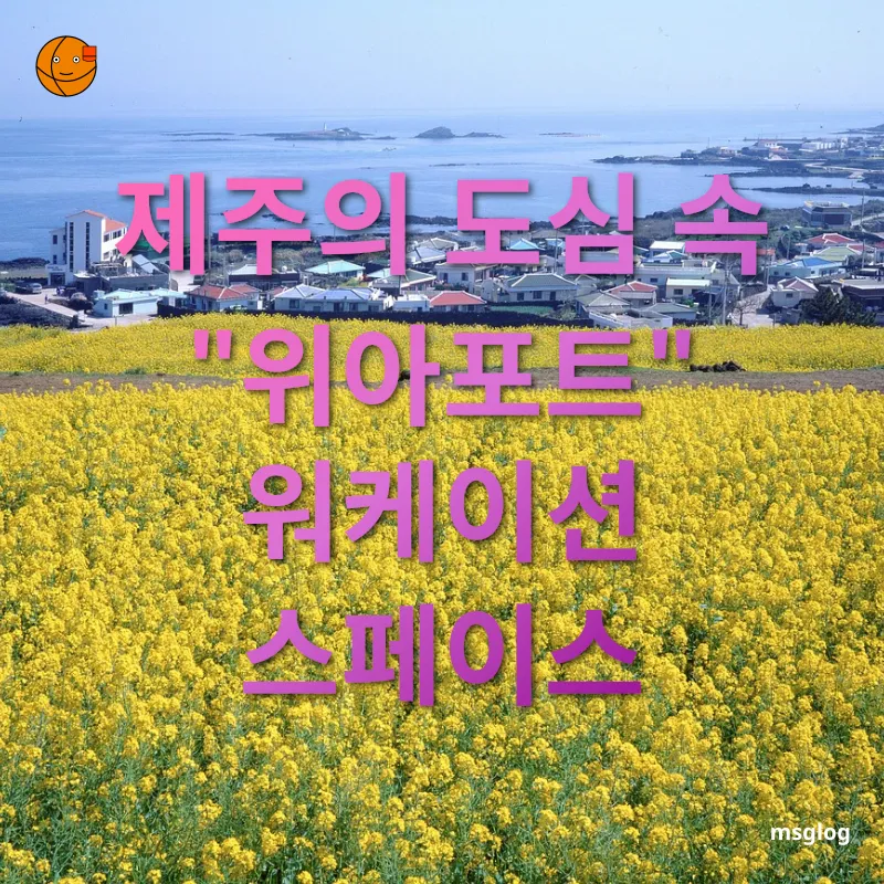 제주도 워케이션 - 제주의 도심 속 제주도 워케이션 제주의 도심 속