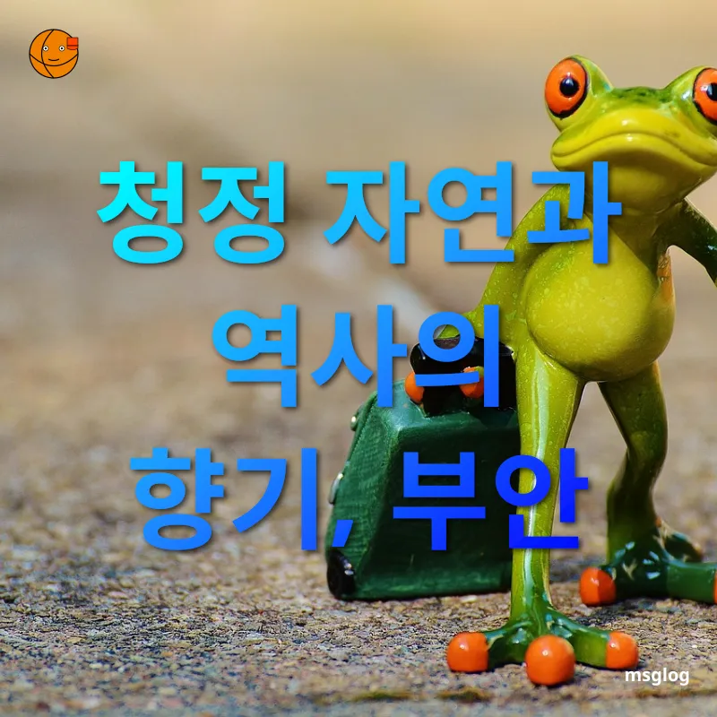 한달살기 여행 - 청정 자연과 역사의 향기, 부안 한달살기 여행 청정 자연과 역사의 향기, 부안 관련 이미지