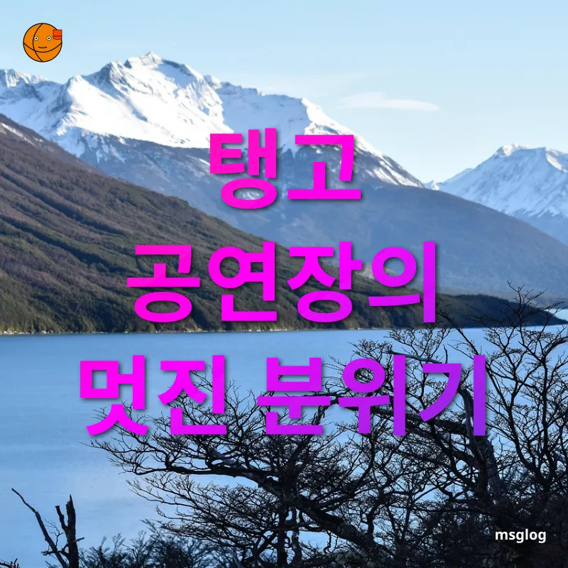 아르헨티나 탱고 공연 - 탱고 공연장의 멋진 분위기 아르헨티나 탱고 공연 탱고 공연장의 멋진 분위기 관련 이미지