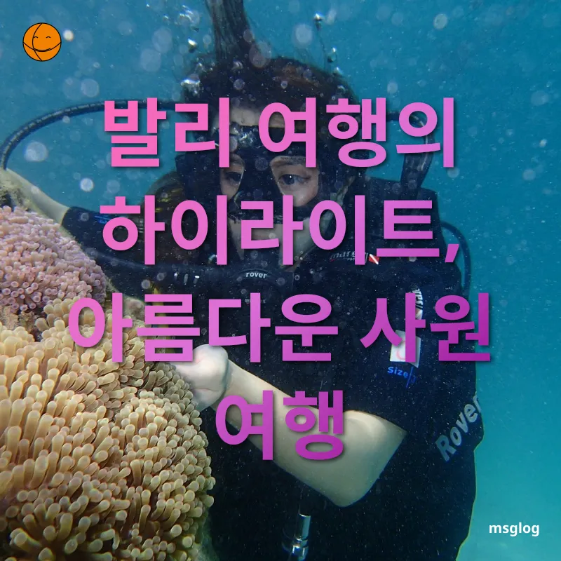 겨울 동남아 여행지 - 발리 여행의 하이라이트, 아름다운 사원 여행 겨울 동남아 여행지 발리 여행의 하이라이트, 아름다운 사원 여행 관련 이미지