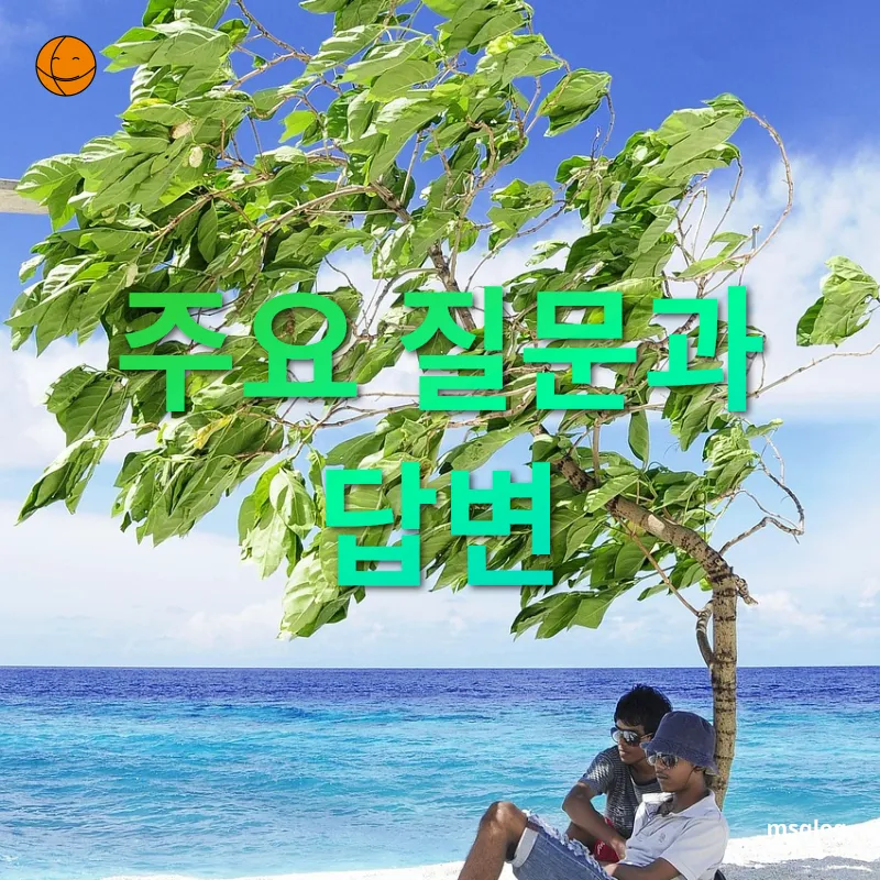 신혼여행 여행지 - 주요 질문과 답변 신혼여행 여행지 주요 질문과 답변 관련 이미지