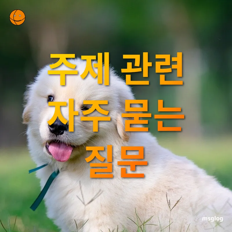 반려동물 동반 여행 - 주제 관련 자주 묻는 질문 반려동물 동반 여행 주제 관련 자주 묻는 질문 관련 이미지