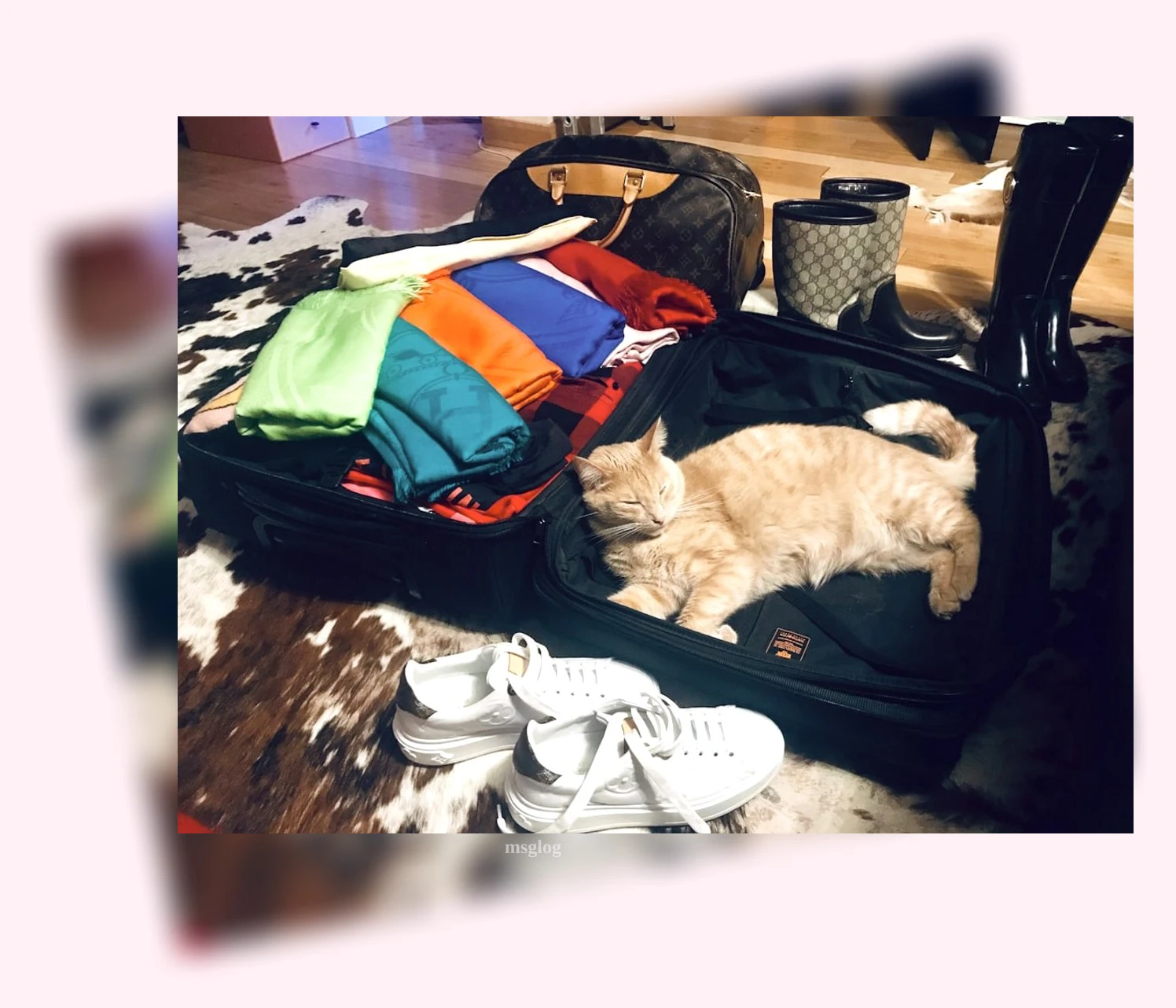 여행 준비 - 여행의 안전을 지켜줄 아이템들 상세 정보 여행 준비 여행의 안전을 지켜줄 아이템들 상세 설명 이미지